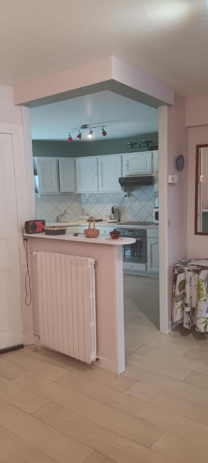 Appartement 120 M² Duplex Coeur Historique Au Calme Le Puy-en-Velay Экстерьер фото